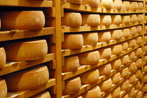 ARECO - Industrie fromagerie