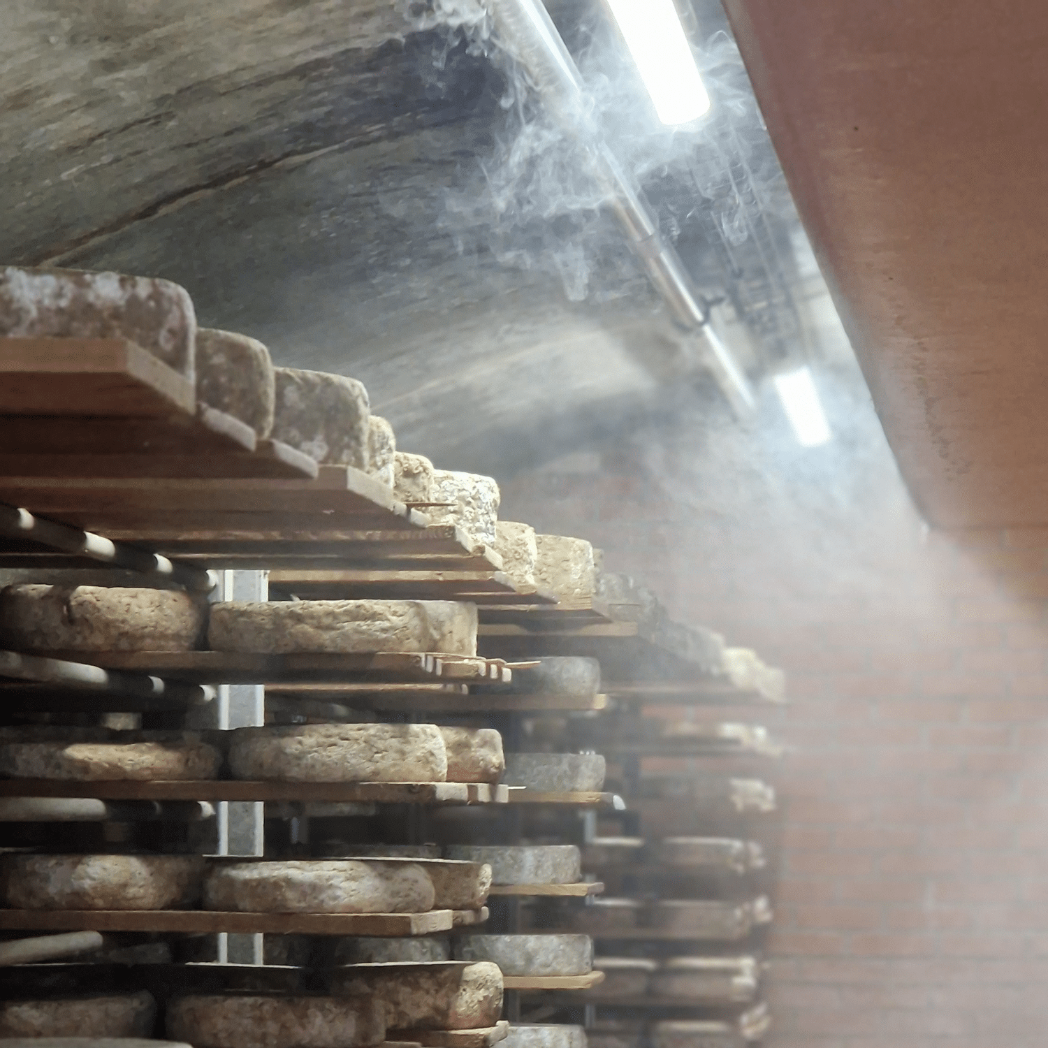 ARECO - Nébulisation